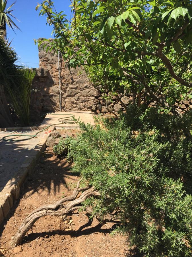 Cactus B&B Le Casette Di Marilena Пантелерия Екстериор снимка